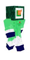 Skin preview