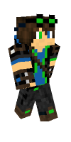 Skin preview