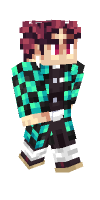 Skin preview