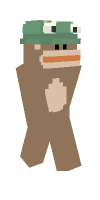 Skin preview