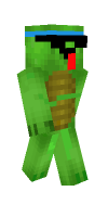 Skin preview