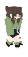 Skin preview