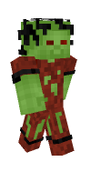 Skin preview