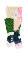 Skin preview