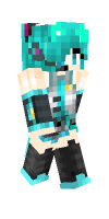Skin preview