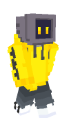 Skin preview