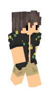 Skin preview