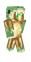 Skin preview