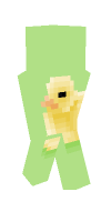 Skin preview