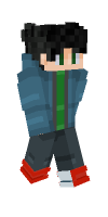 Skin preview