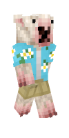 Skin preview