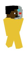 Skin preview
