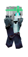 Skin preview