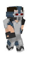 Skin preview