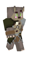 Skin preview