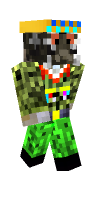 Skin preview