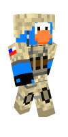 Skin preview