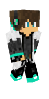 Skin preview