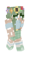 Skin preview