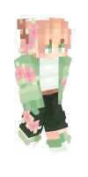 Skin preview