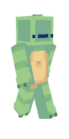 Skin preview