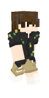 Skin preview