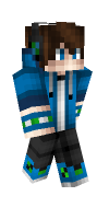 Skin preview