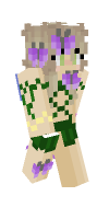 Skin preview