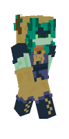 Skin preview