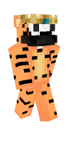 Skin preview