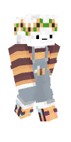 Skin preview