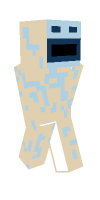 Skin preview