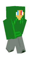 Skin preview