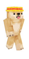 Skin preview