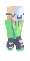 Skin preview