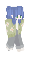 Skin preview