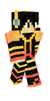 Skin preview