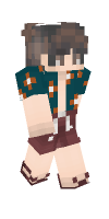 Skin preview