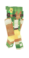 Skin preview