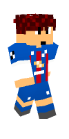 Skin preview