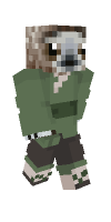 Skin preview
