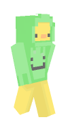 Skin preview