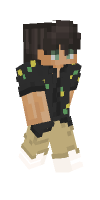 Skin preview