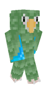 Skin preview