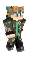 Skin preview