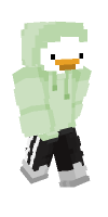Skin preview