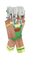 Skin preview