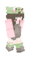 Skin preview
