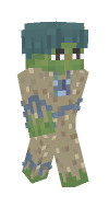 Skin preview
