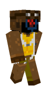 Skin preview